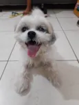 Bruce