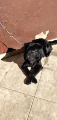 BILLY