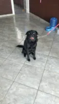 BILLY
