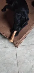 BILLY