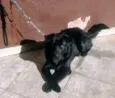 BILLY