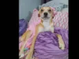 Juliette