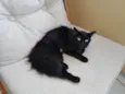 Valentina