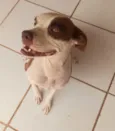 Mel