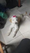 Kiara 