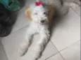 Kiara 