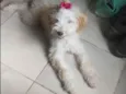Kiara 