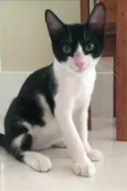 BILL
