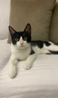 BILL