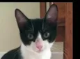 BILL