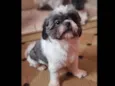 Bob