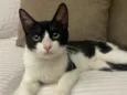BILL