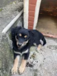 Sem nome ainda