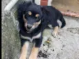 Sem nome ainda