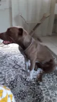 Kira