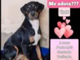 Rubi