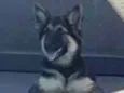 Kim