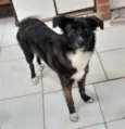 Meg