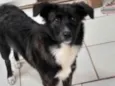 Meg