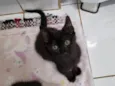 Princesa de Ébano 