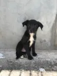 Mandela