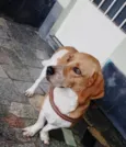 Benny