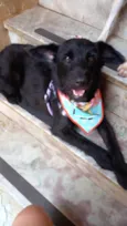 Lola