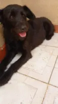 Lola