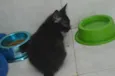 Zureba e Espoleta