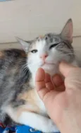 Penélope 