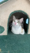 Penélope 