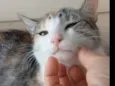 Penélope 