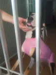 Nina