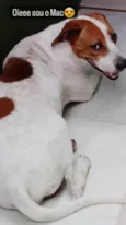 MAC