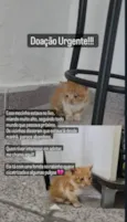 Não tem nome