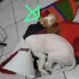 Não tem nome