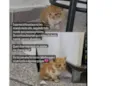 Não tem nome