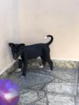 Maya