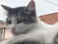 PRINCESA