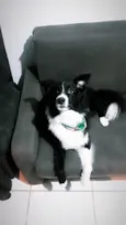 Darwin 