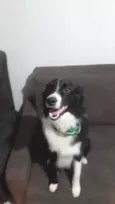 Darwin 