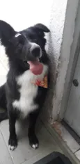 Mufasa