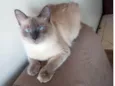 Miah
