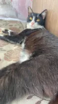 Mel