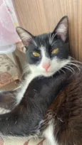 Mel