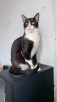 Mel