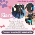 Kiara