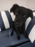 Kiara