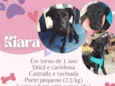 Kiara
