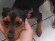 Princesa